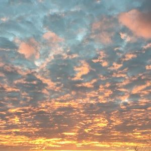 Meet your Posher, Sofia